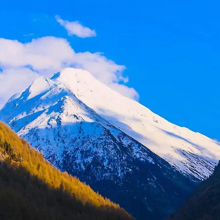 Appartement Monte Rosa *